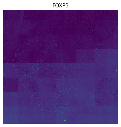 ../../_images/f99f671f073b2c79c5f186be5afb2ca31c692d0da34f5a4e28a435898db82777.png
