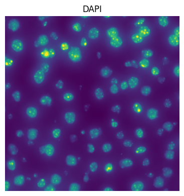 ../../_images/ce9d2745fd9b53ea14327ef3480cac3ea9e16d8b58a82c4882adc304d788c41d.png
